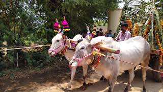 maa oorilo sri ram navami sambaralu. Narendra neeruganti