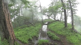 【ひとり登山部LOG】#4 丹沢主脈縦走 蛭ヶ岳・丹沢山・塔ノ岳 霧と雨と霧雨と【HDR-AS100V】