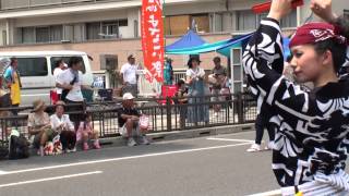 日野本丁筋さん＠2012　ひのよさこい祭