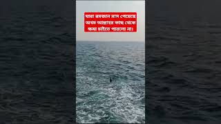 যারা রমজান মাস পেয়েও ক্ষমা চাইতে পারে নি। #আবু_ত্বহা_মুহাম্মদ_আদনান #রমজান #ইসলামিক_ভিডিও