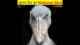 भूटान का राष्ट्रीय पक्षी कौन सा है? | #shorts | crow kis desh ka rashtriya pakshi hai #ytshorts