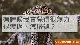 [聖經好好看] 希伯來書-第12章