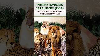 International Big Cat Alliance (IBCA): A United Global Effort to Protect Big Cats