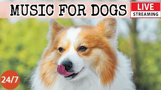[LIVE] Dog Music🎵Relaxing Calming Music for Dogs🐶Cure Separation Anxiety Music for Dogs💖Dog Sleep💖1