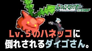 レベル5ハネッコに倒されるダイゴさん【ポケモンエメラルド】