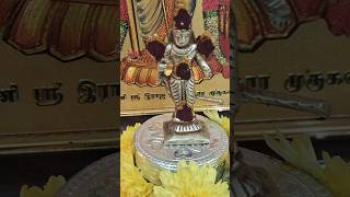 வற்றாத செல்வம் சேர முருகன் வழிபாடு #aanmeegam #murugan #spritual #divine #shortsfeed #shorts