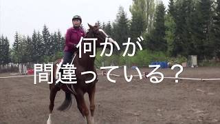 逆転の乗馬ライフ（８−６）〜半減却、大事なのは馬との約束