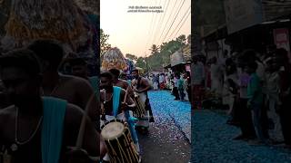 തൈപ്പൂയ മഹോൽസവം 2025 ചെണ്ട മേളം | ആട്ടക്കാവടി #temple #Velmurugan #pooram #melam #viswanathanmv 05