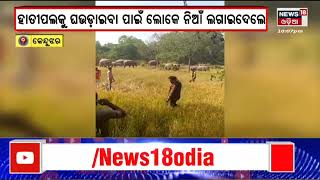 Fire Accident | Keonjhar News | ଜଳିଗଲା କାଜୁ ଜଙ୍ଗଲ | Odia News