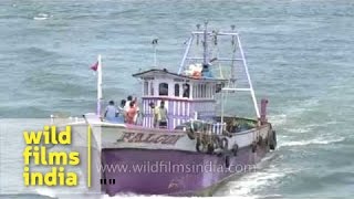 Fishing boat of the kind that brought terrorists to India's Arabian Sea shores