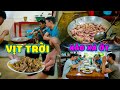 Thế Nhân || Vịt Tặc Chuyên Phá Hoại Ruộng Lúa Và Cái Kết ?