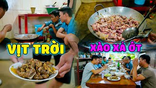 Thế Nhân || Vịt Tặc Chuyên Phá Hoại Ruộng Lúa Và Cái Kết ?