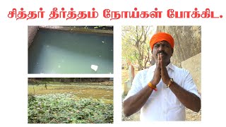 மருத்துவர்களால் சரிசெய்ய முடியாத விஷக்கடி நோய்களை சரி செய்யும்  பிரம்ம தீர்த்தம்?