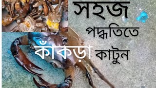 দেশি কাঁকড়া 🦀 কাটার সহজ উপায়। Easy way to cut desi crab