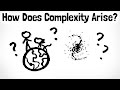 Where Does Complexity Come From? (Big Picture Ep. 3/5)