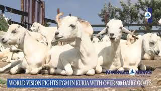 How World Vision Is Fighting FGM In Kuria With 500 dairy goats