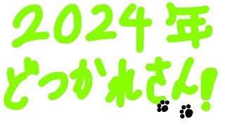 【あつまれどうぶつの森】2024年最後の配信ですね。