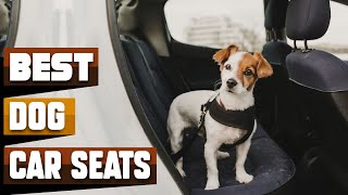 Best Seat Belt In 2024 - Top 10 Seat Belts Review