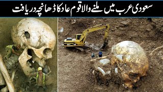 Sekletion of Qoam e Aaad Samood Found In Saudi Arab In Urdu Hindi