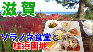 【滋賀】大自然の中でかまど炊きのおいしいご飯を食べよう！（ソラノネ食堂と彼岸花の桂浜園地）