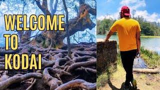 EP-02| Kodaikanal | Berijam lake | Pine Forest  | #kodaikanal  #travelvlog #berijamlake #pineforest