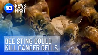 Breast Cancer Research Reveals Bee Sting Potential | 10 News First
