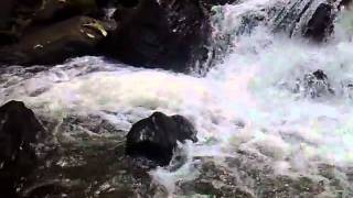 Palchuram waterfalls-4.mp4