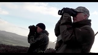 The Shooting Show - red stag and hind in high winds