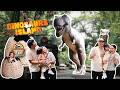 19 - The Best Dino Park in the Philippines?? Dinosaurs Island 2024 (Clark, Pampanga)  Part 1