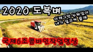 2020도복벼 국제6조 콤바인combine 작업영상 (이제그만 일어나렴)