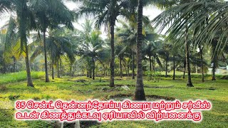 37 சென்ட் தென்னந்தோப்பு கிணத்துக்கடவு ஏரியாவில் விற்பனைக்கு #37centkinathukkkadavulandsale