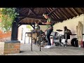 Click Song by Miriam Makeba (Qongqothwane) | Otto & The Mutapa Calling | African Marimba Band
