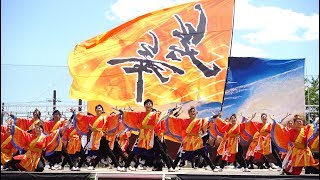 [4K]笑舞　2017犬山踊芸祭 2日目　石作公園メイン会場（広角）