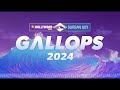 2024 Hollywoodbets Durban July Gallops