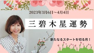 2023年　3月6日～4月4日  三碧木星運勢　　要らない物は手放し、次へのステージアップのために準備しましょう！