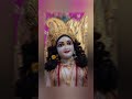 divine mangla darshan of shri krishna balram iskcon vrindavan dham ❤️ Hare Krishna...