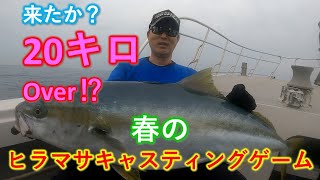 春の玄界灘ヒラマサチャレンジ！ヒラマサキャスティング　出るか20㎏オーバー⁉ Hiramasa(King Fish) Casting in Japan Genkai