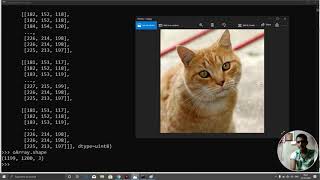 python 54 numpy how to edit,crop an image