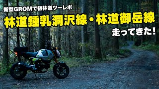 新型GROMで林道鍾乳洞沢線・林道御岳線を走ってきた！【ツーレポ】【モトブログ】【motovlog】【林道】