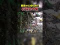 【絶景】石垣島に行ってみた！【沖縄】