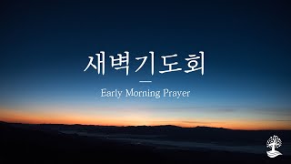 [2024.12.5] 새벽기도회ㅣ아모스 2장 4~16절ㅣ이승범 목사