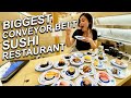 Sushi lunch at the biggest Conveyor belt Sushi Restaurant | Life in Tokyo