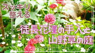 【ガーデニング】🍀【スッキリ整える　徒長花壇の手入れと山野草の庭】