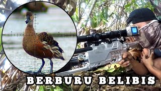 GILA❗️SPOT BELIBIS SUPER MELIMPAH. POIN TANPA HENTI. BERBURU BELIBIS. BORNEO SLUG 14GR