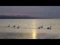 2016 山陰シリーズ 4 松江城と宍道湖の夕日 4k matsue castle and sunset at lake shinji in shimane pref. uhd