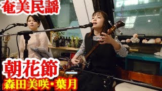 朝花節　森田美咲・葉月　奄美民謡　奄美シマ唄　amami【字幕】