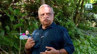 ഓണം സ്‌പെഷല്‍: ജയചന്ദ്രിക  / Onam Special: Jayachandrika