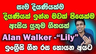 Learn English with songs - Lily by Alan Walker