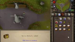 5m from Easy Clues - Insane Luck!