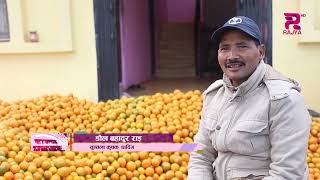 बर्षोसम्म बाझो भएको जमिनबाट लाखौं आम्दानी गर्न सकिन्छ भन्ने उदाहरण पाल्पाको रैनादेवी छहरामा